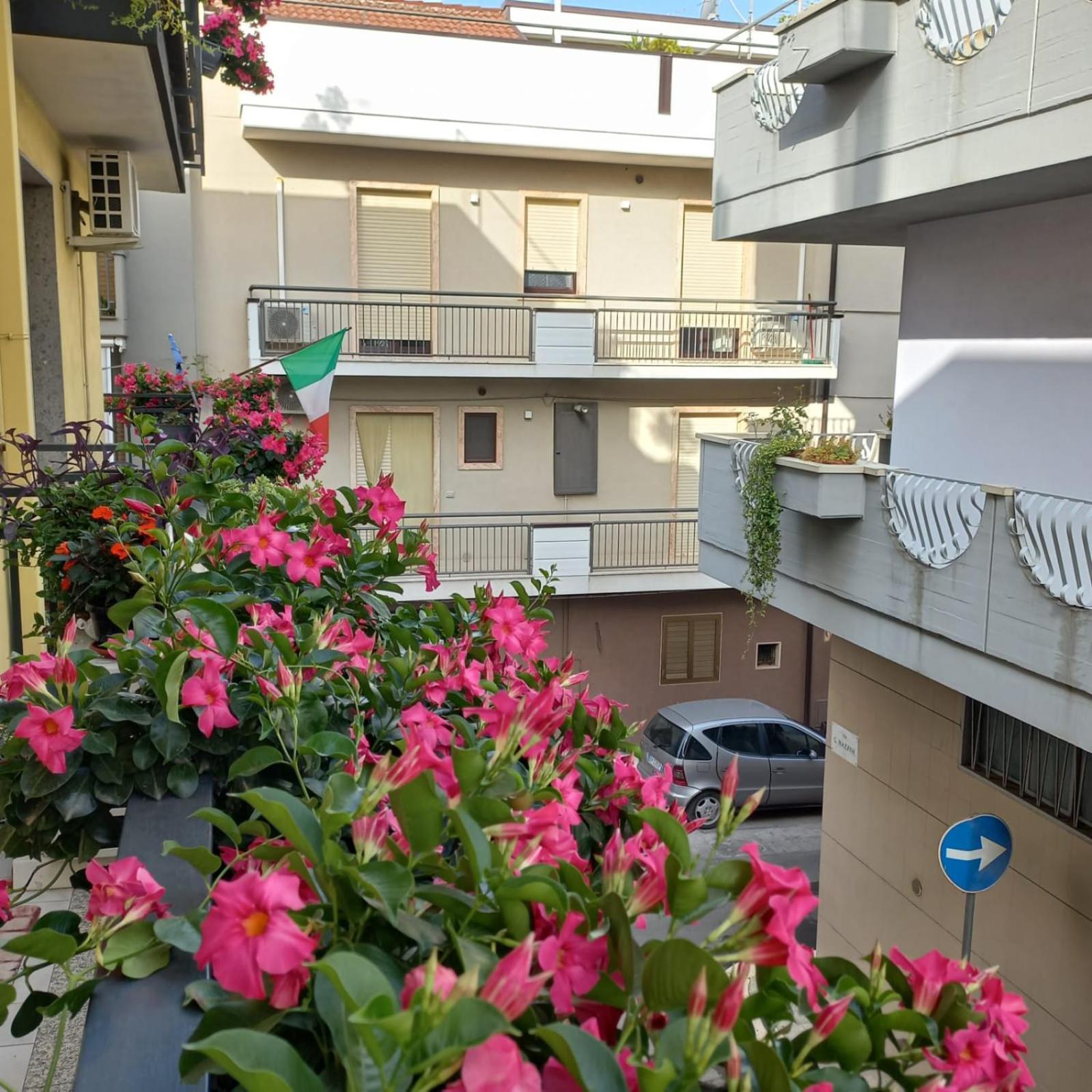 B&B Stupor Mundi Altamura Εξωτερικό φωτογραφία