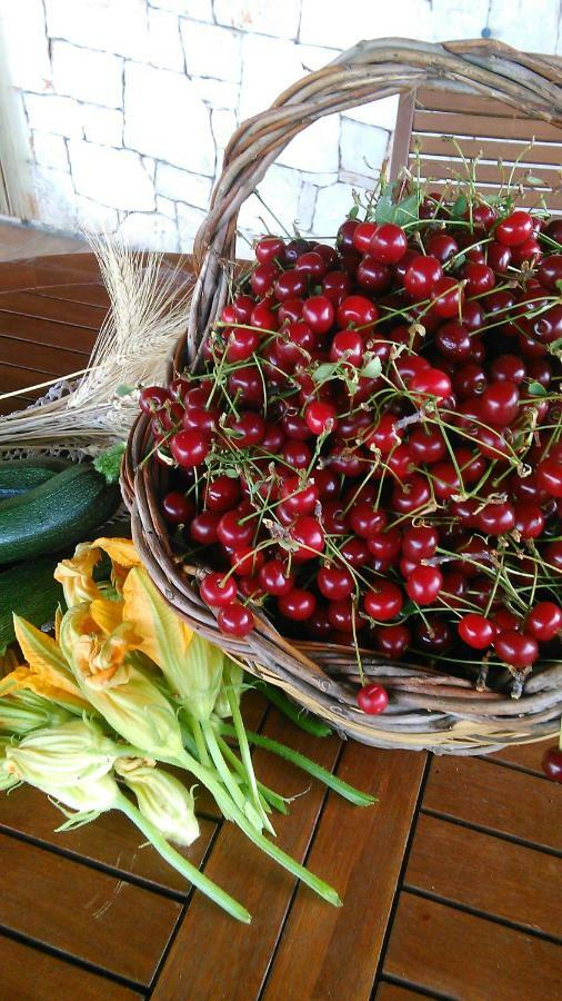 B&B Stupor Mundi Altamura Εξωτερικό φωτογραφία
